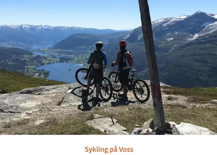 Leilighet I Trastolen Bavallen Voss