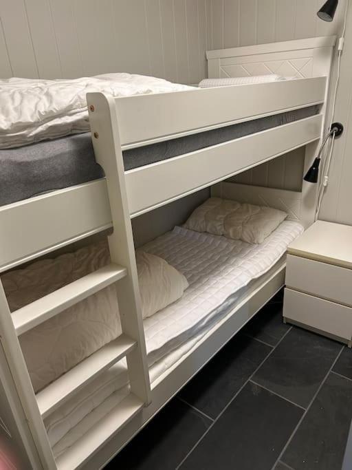 I Trastolen Bavallen Voss Apartment
